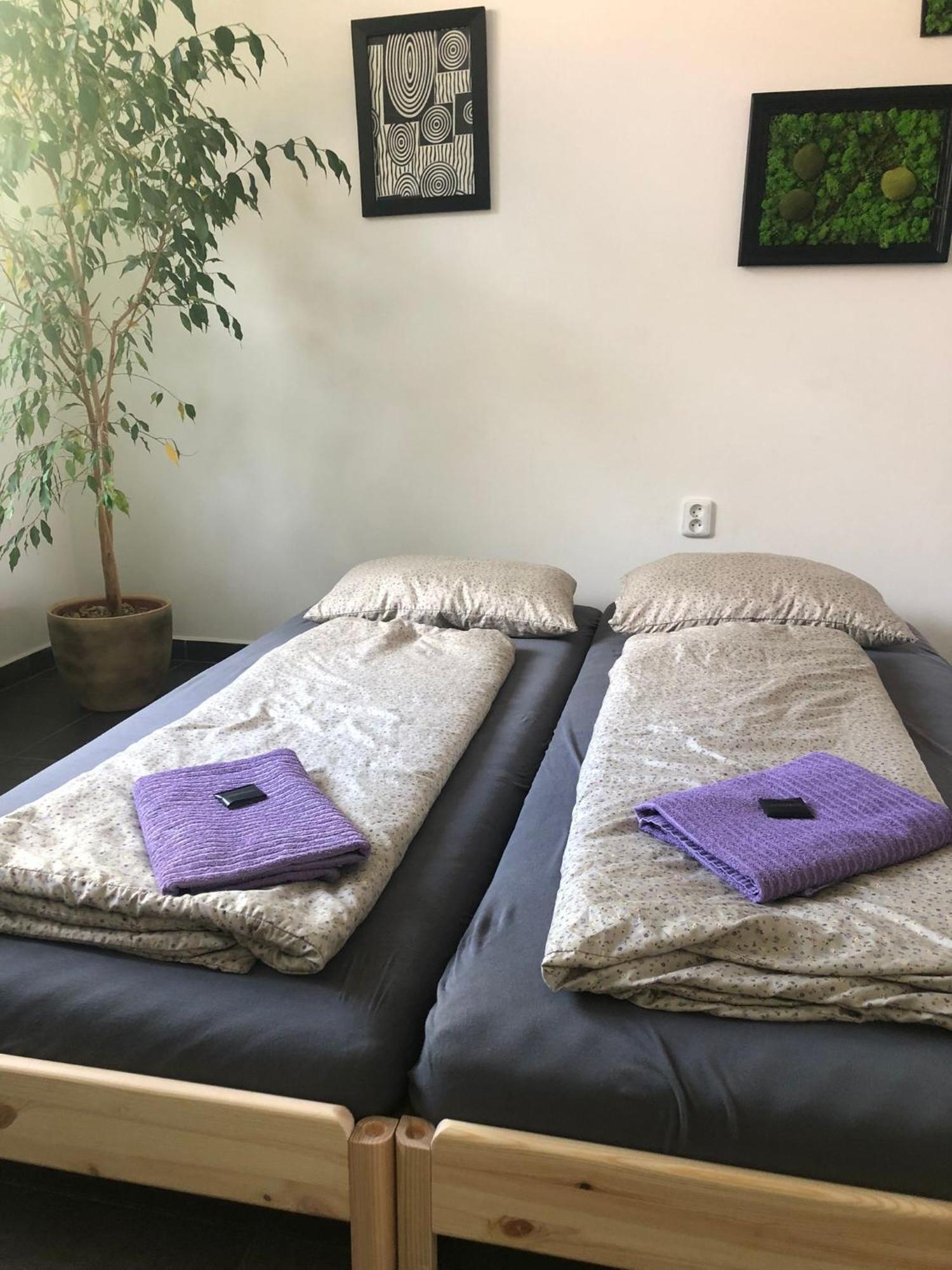Apartman Wellness Veseli Veselí nad Moravou Exterior foto